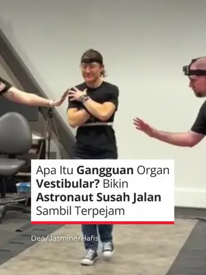 Thumbnail TikTok