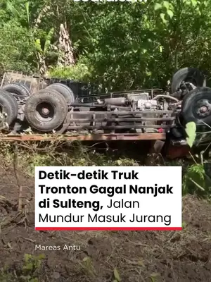 Thumbnail TikTok