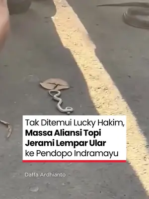 Thumbnail TikTok