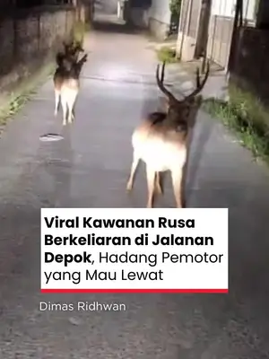 Thumbnail TikTok