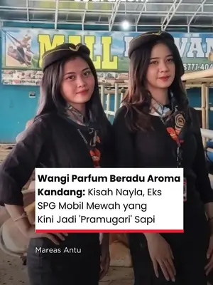 Thumbnail TikTok
