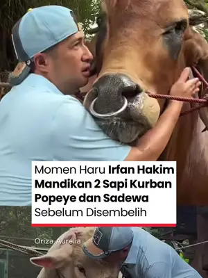 Thumbnail TikTok