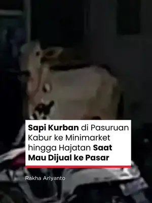 Thumbnail TikTok