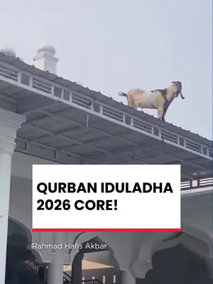 Thumbnail TikTok