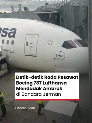 Thumbnail TikTok