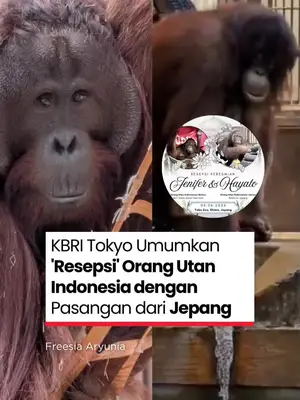Thumbnail TikTok