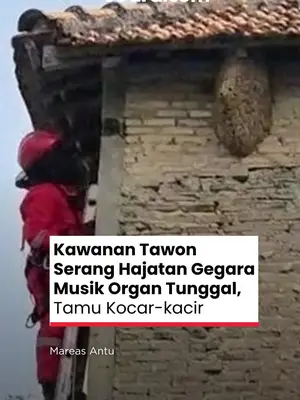 Thumbnail TikTok
