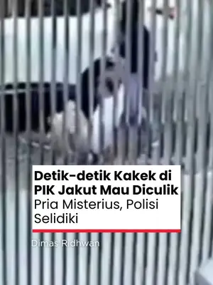 Thumbnail TikTok