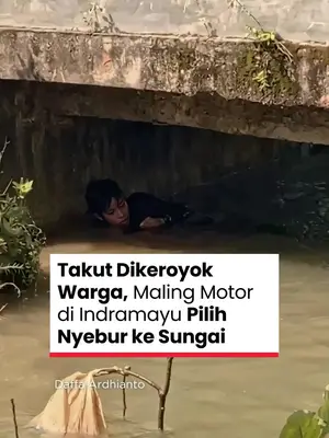 Thumbnail TikTok