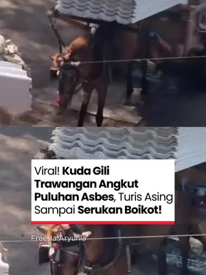 Thumbnail TikTok