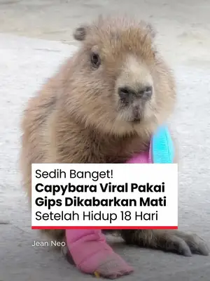 Thumbnail TikTok