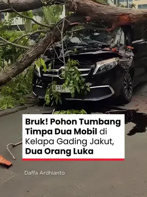 Thumbnail TikTok