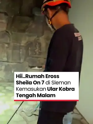 Thumbnail TikTok