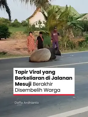 Thumbnail TikTok