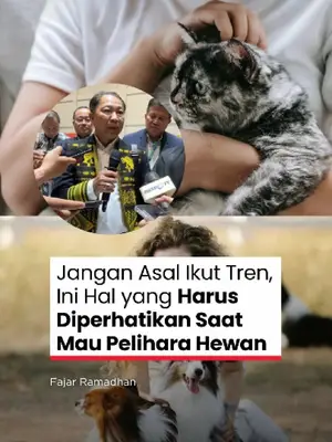 Thumbnail TikTok