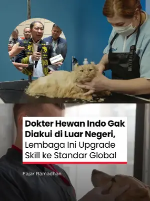 Thumbnail TikTok