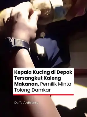 Thumbnail TikTok