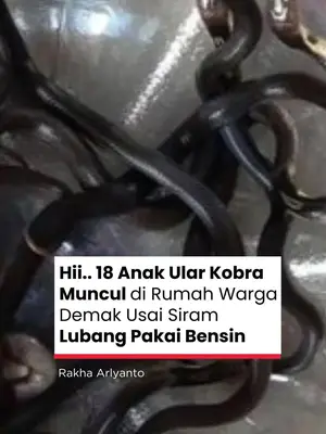 Thumbnail TikTok