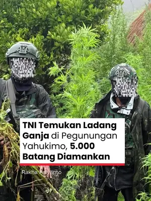 Thumbnail TikTok