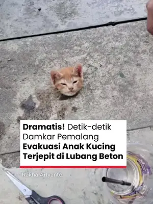 Thumbnail TikTok
