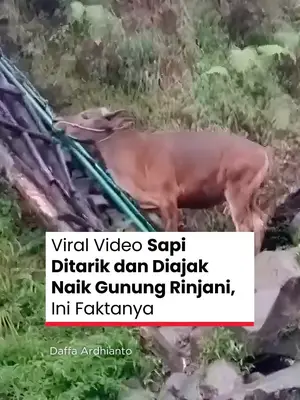 Thumbnail TikTok