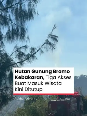 Thumbnail TikTok
