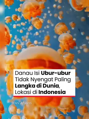 Thumbnail TikTok