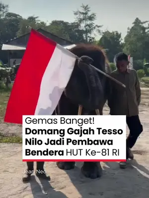 Thumbnail TikTok