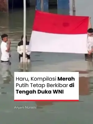 Thumbnail TikTok