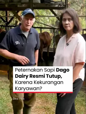 Thumbnail TikTok