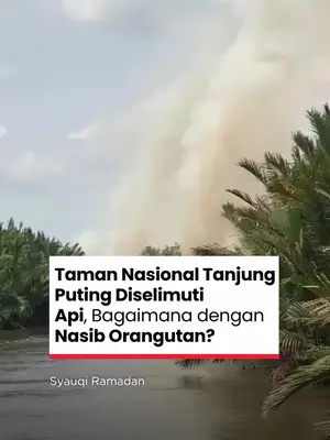 Thumbnail TikTok