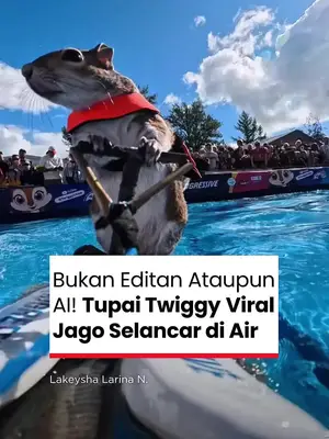 Thumbnail TikTok