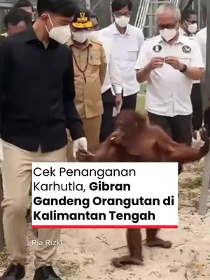 Thumbnail TikTok