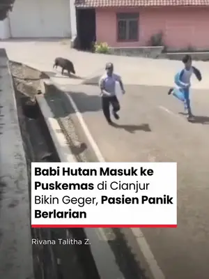 Thumbnail TikTok