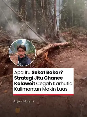 Thumbnail TikTok