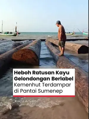 Thumbnail TikTok
