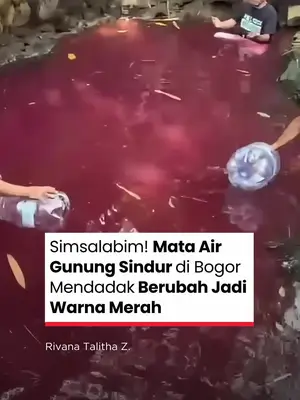 Thumbnail TikTok