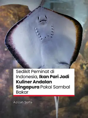 Thumbnail TikTok