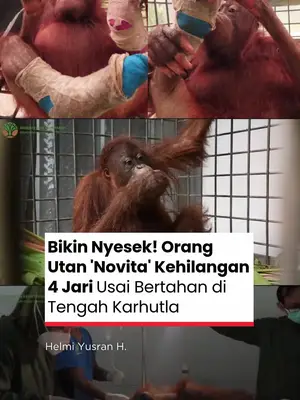 Thumbnail TikTok