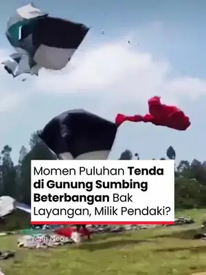 Thumbnail TikTok