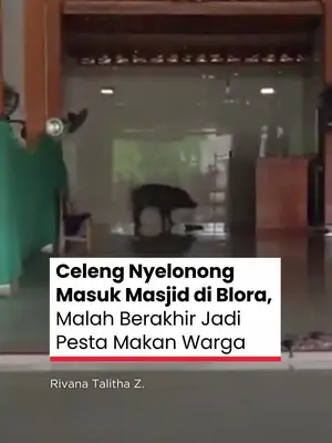 Thumbnail TikTok